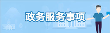 政务服务事项